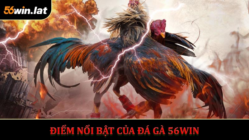 Khám Phá Những Điểm Nổi Bật Của Đá Gà 56WIN