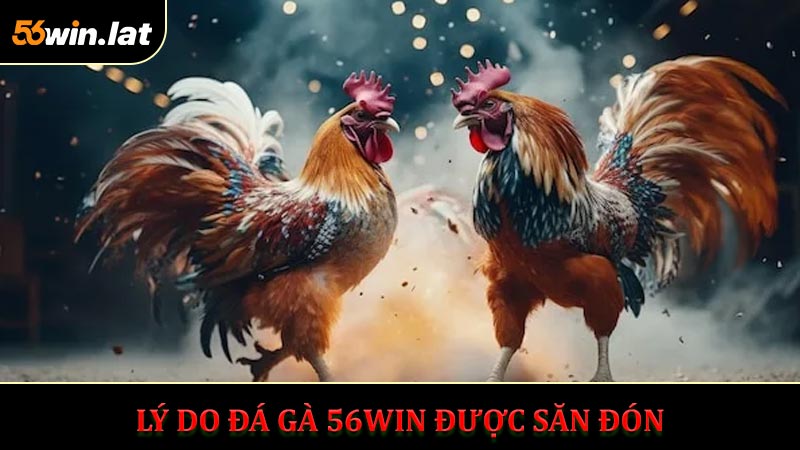 Kèo Cược Đa Dạng Và Đáng Tin Cậy