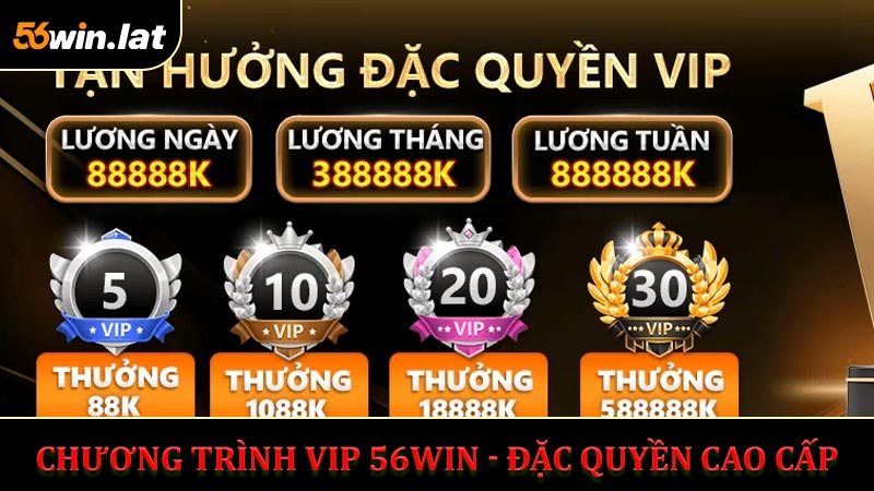 Chương Trình VIP 56WIN - Đặc Quyền Cao Cấp